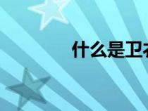 什么是衛(wèi)衣?（什么是衛(wèi)衣）