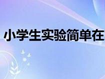 小學(xué)生實(shí)驗(yàn)簡(jiǎn)單在家就能做的(小學(xué)生實(shí)驗(yàn)) 小學(xué)生實(shí)驗(yàn)簡(jiǎn)單在家就能做的(小學(xué)生實(shí)驗(yàn))