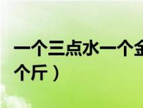 一個三點水一個金字是什么字（一個三點水一個斤）