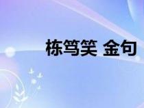 棟篤笑 金句（棟篤笑是什么意思）