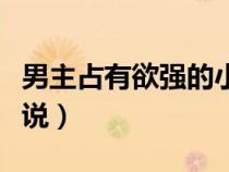 男主占有欲強(qiáng)的小說晉江（男主占有欲強(qiáng)的小說）