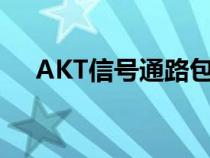AKT信號(hào)通路包括什么（akt信號(hào)通路）