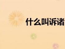 什么叫訴諸（訴諸是什么意思）