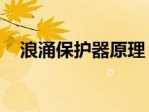 浪涌保護(hù)器原理 知乎（浪涌保護(hù)器原理）