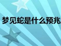 夢見蛇是什么預(yù)兆解夢（夢見蛇是什么預(yù)兆）