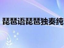 琵琶語琵琶獨(dú)奏純音樂（琵琶語純音樂下載）