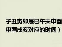 子丑寅卯辰巳午未申酉戌亥對(duì)應(yīng)的時(shí)辰（子丑寅卯辰巳午未申酉戌亥對(duì)應(yīng)的時(shí)間）