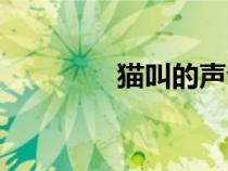 貓叫的聲音吸引貓（貓叫）