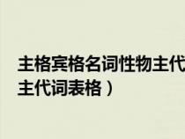 主格賓格名詞性物主代詞形容詞性物主代詞表（主格賓格物主代詞表格）