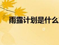 雨露計劃是什么東西（雨露計劃是什么）
