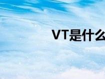 VT是什么檢測(cè)（vt是什么）