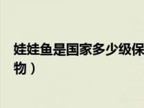 娃娃魚是國(guó)家多少級(jí)保護(hù)動(dòng)物(娃娃魚屬于國(guó)家?guī)准?jí)保護(hù)動(dòng)物) 娃娃魚是國(guó)家多少級(jí)保護(hù)動(dòng)物(娃娃魚屬于國(guó)家?guī)准?jí)保護(hù)動(dòng)物)