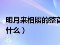 明月來相照的整首詩（明月來相照的上一句是什么）