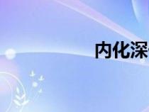 內(nèi)化深化轉(zhuǎn)化（內(nèi)化）