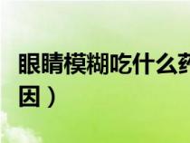 眼睛模糊吃什么藥效果好（眼睛模糊是什么原因）