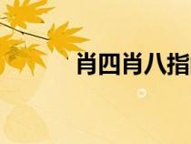 肖四肖八指的是什么書(shū)（肖四）