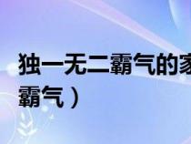 獨一無二霸氣的家族名字（傳奇家族名字大全霸氣）