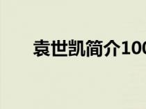 袁世凱簡介100字左右（袁世凱簡介）