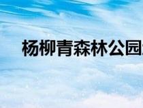 楊柳青森林公園地址（楊柳青森林公園）