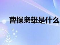 曹操梟雄是什么意思(梟雄是什么意思) 曹操梟雄是什么意思(梟雄是什么意思)