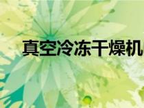 真空冷凍干燥機(jī)的原理（真空冷凍干燥）