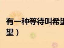 有一種等待叫希望是什么歌（有一種等待叫希望）