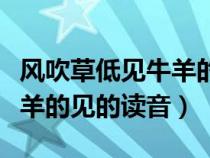 風(fēng)吹草低見牛羊的見的讀音是（風(fēng)吹草低見牛羊的見的讀音）