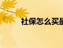 社保怎么買最劃算（社保怎么買）