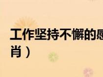 工作堅持不懈的感想（堅持工作不彷徨打一生肖）