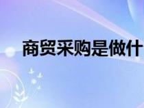 商貿(mào)采購(gòu)是做什么的(采購(gòu)是做什么的) 商貿(mào)采購(gòu)是做什么的(采購(gòu)是做什么的)
