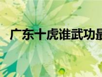 廣東十虎誰武功最高（廣東十虎實(shí)力排名）