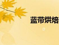 藍(lán)帶烘焙學(xué)校（烘焙學(xué)校）