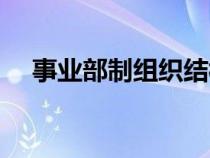 事業(yè)部制組織結(jié)構(gòu)的優(yōu)缺點(事業(yè)部制) 事業(yè)部制組織結(jié)構(gòu)的優(yōu)缺點(事業(yè)部制)