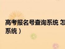高考報名號查詢系統(tǒng) 怎么查詢高考報名號（高考報名號查詢系統(tǒng)）