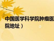 中國醫(yī)學(xué)科學(xué)院腫瘤醫(yī)院地址郵編(中國醫(yī)學(xué)科學(xué)院腫瘤醫(yī)院地址) 中國醫(yī)學(xué)科學(xué)院腫瘤醫(yī)院地址郵編(中國醫(yī)學(xué)科學(xué)院腫瘤醫(yī)院地址)