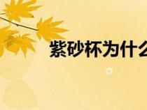 紫砂杯為什么不建議用（紫砂杯）