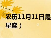 農歷11月11日是什么星座（11月11日是什么星座）