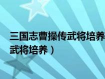 三國志曹操傳武將培養(yǎng)攻略壓級是怎么回事（三國志曹操傳武將培養(yǎng)）