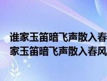 誰家玉笛暗飛聲散入春風(fēng)滿洛城中的暗飛聲是什么意思（誰家玉笛暗飛聲散入春風(fēng)滿洛城）