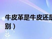 牛皮革是牛皮還是人造革（牛皮革和牛皮的區(qū)別）