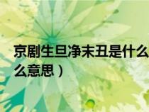 京劇生旦凈末丑是什么角色（京劇中的生旦凈末丑各代表什么意思）
