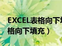 EXCEL表格向下填充快捷鍵有公式（excel表格向下填充）