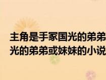 主角是手冢國光的弟弟或妹妹的小說叫什么（主角是手冢國光的弟弟或妹妹的小說）