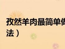 孜然羊肉最簡單做法大全（孜然羊肉最簡單做法）