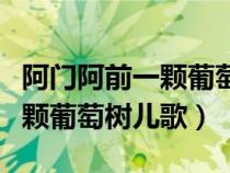 阿門阿前一顆葡萄樹兒歌鋼琴譜（阿門阿前一顆葡萄樹兒歌）