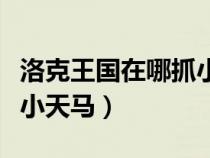 洛克王國(guó)在哪抓小天馬最好（洛克王國(guó)在哪抓小天馬）