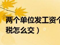 兩個(gè)單位發(fā)工資個(gè)人所得稅怎么交（個(gè)人所得稅怎么交）