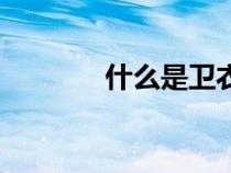 什么是衛(wèi)衣布(什么是衛(wèi)衣) 什么是衛(wèi)衣布(什么是衛(wèi)衣)