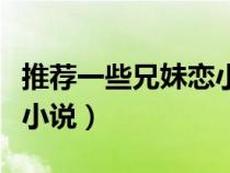 推薦一些兄妹戀小說的網(wǎng)站（推薦一些兄妹戀小說）