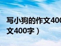 寫小狗的作文400字以上說明文（寫小狗的作文400字）